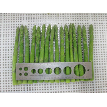 IQF Frozen Asparagus Frozen Vegetables